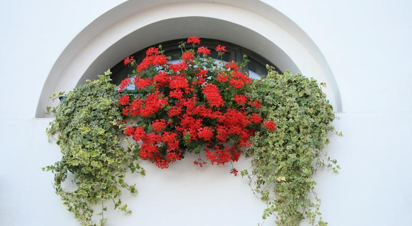 Crocetta del Montello Al Bagolaro B&B 외부 사진