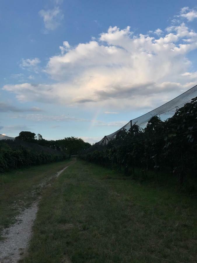 Crocetta del Montello Al Bagolaro B&B 외부 사진